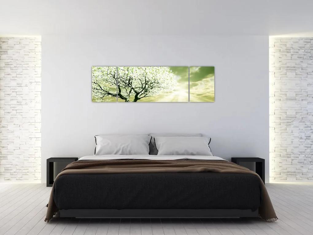 Jarný strom - moderný obraz