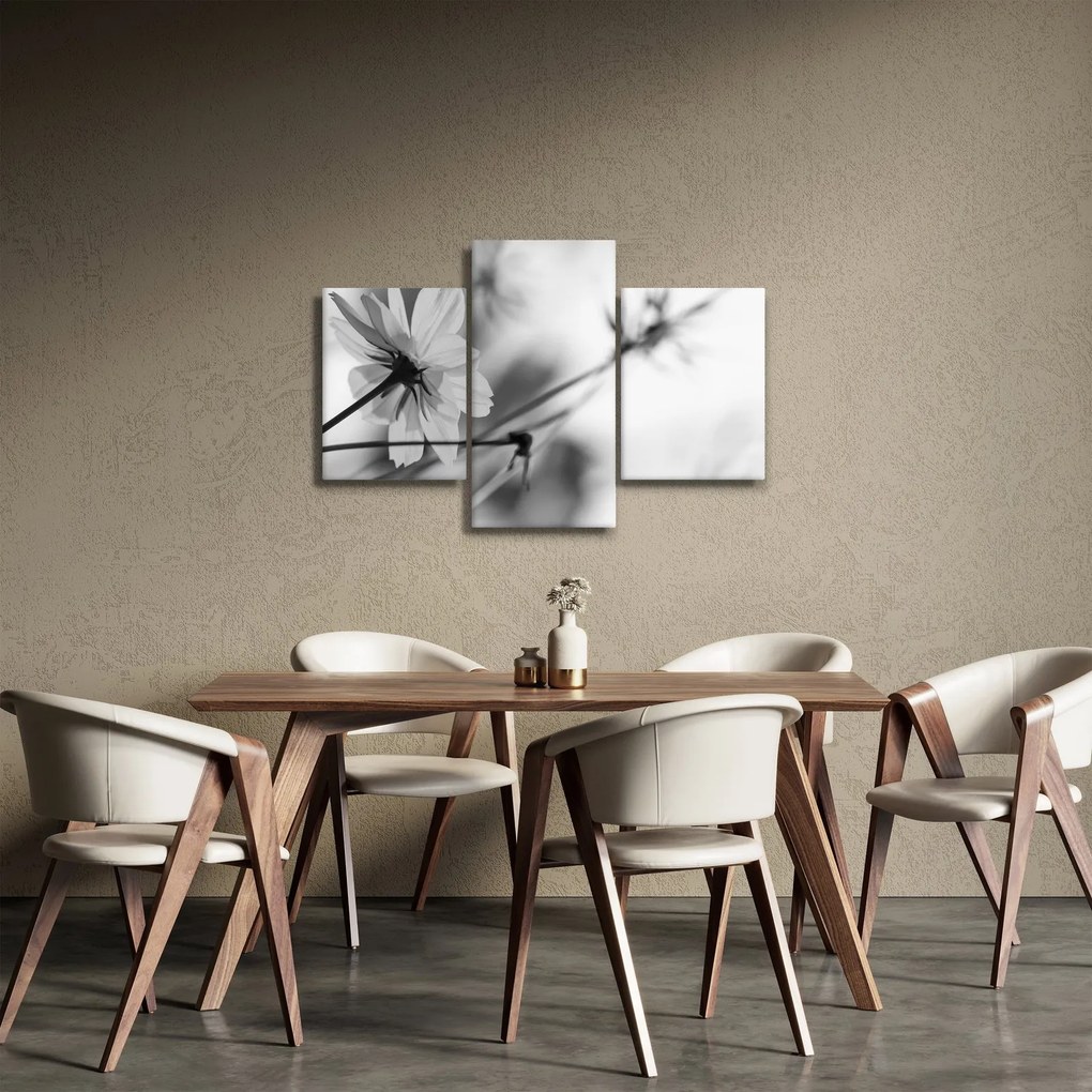 Obraz - Čiernobiele kvety (90x60 cm)