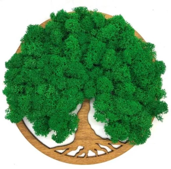 Strom na stenu z machu Dark Tiana 20 cm