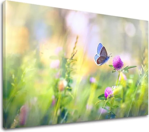 Obraz na stenu FAREBNÉ KVETY_161-11