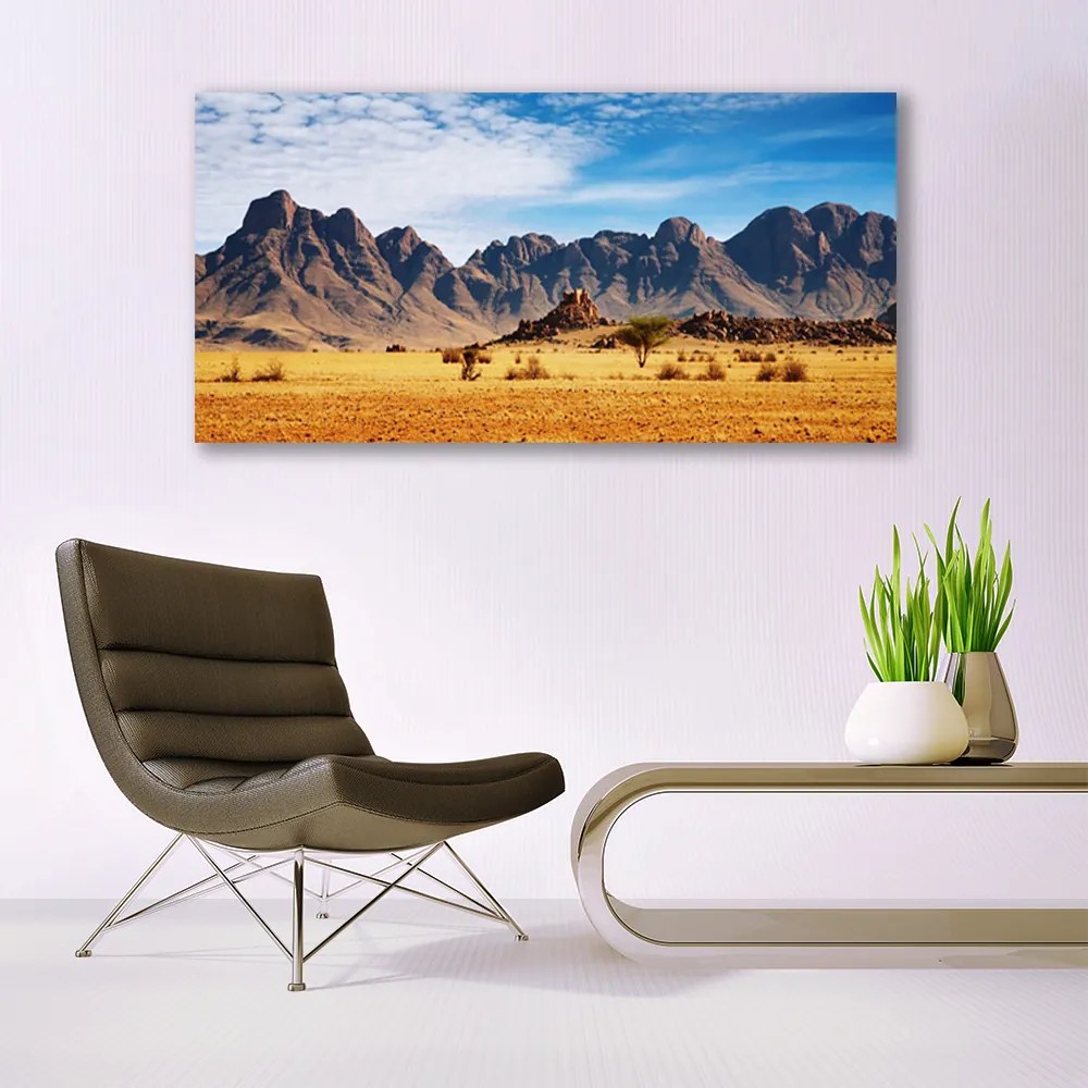Obraz plexi Púšť hory príroda 120x60 cm