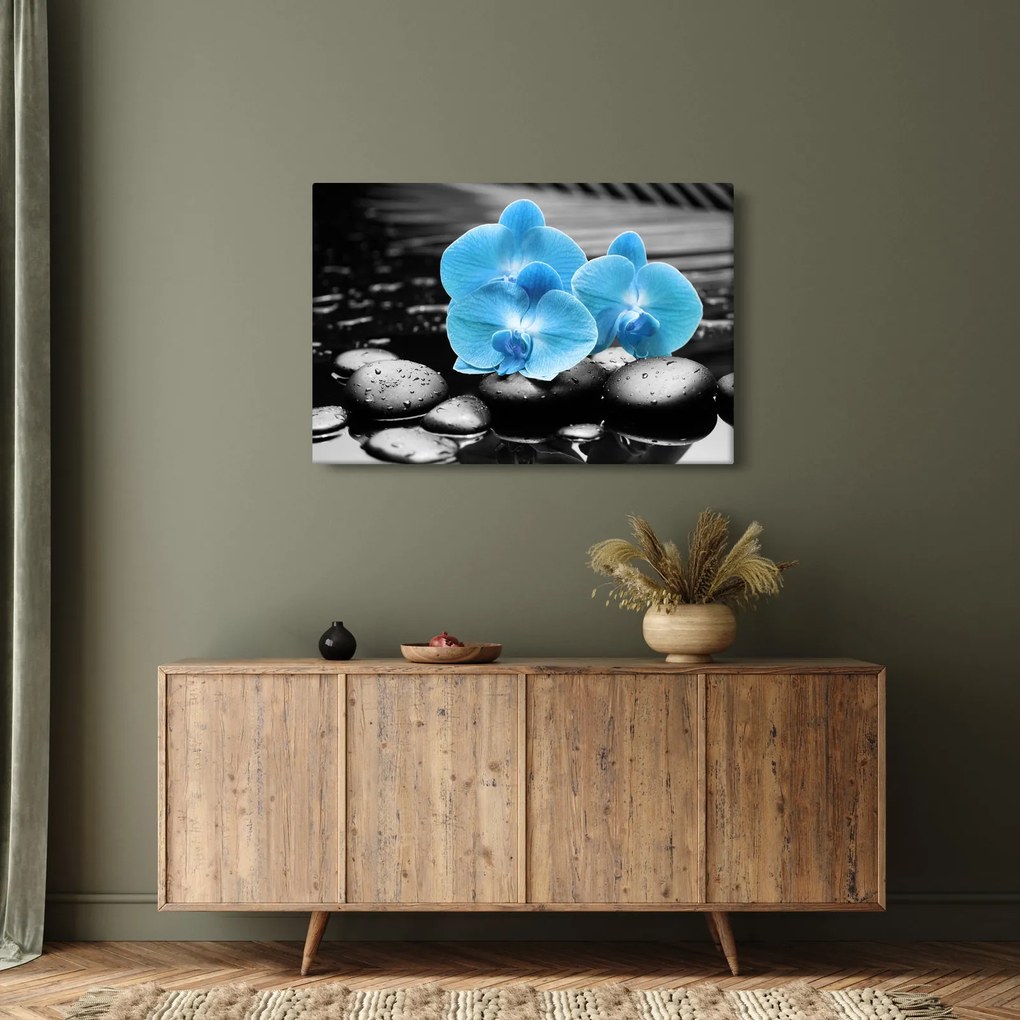 Obraz - Modrá orchidea (90x60 cm)