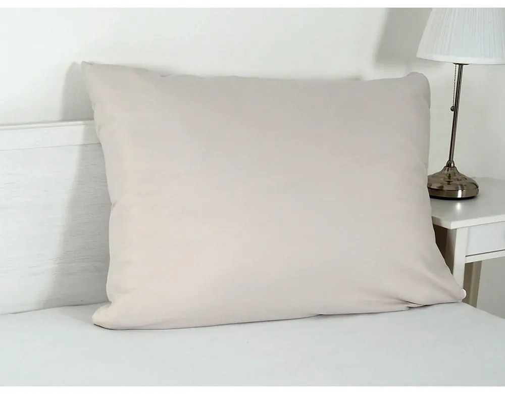 Obliečka na vankúš z mikrovlákna 70x90 cm Summer – B.E.S.