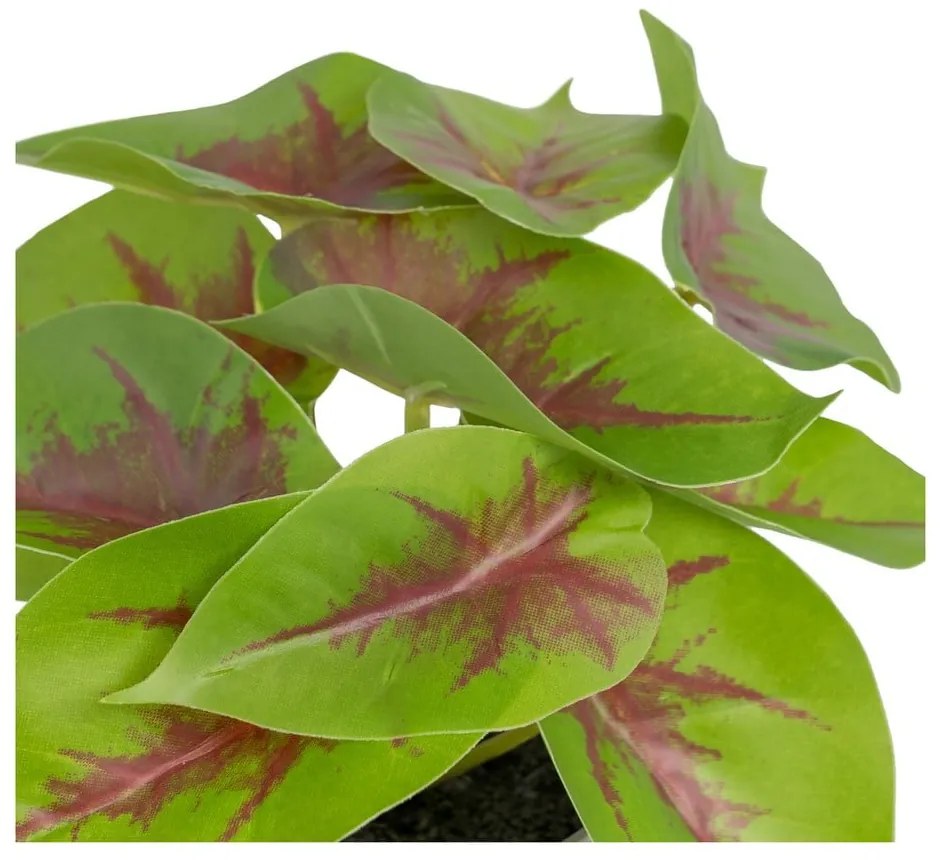 Umelá rastlina (výška 20 cm) Syngonium – Ixia