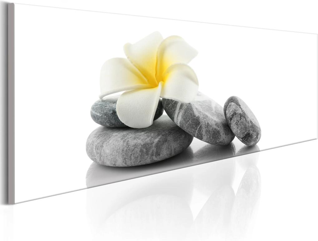 Obraz - White Lotus 150x50