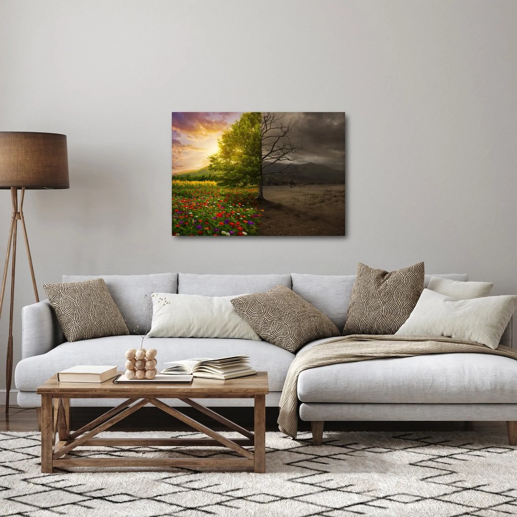 Obraz - Kolobeh života (70x50 cm)