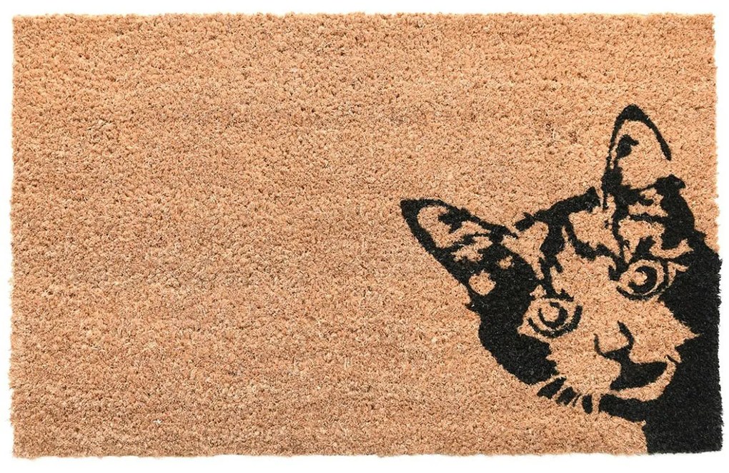 Vonkajšia rohožka Kitty, 60x40 cm