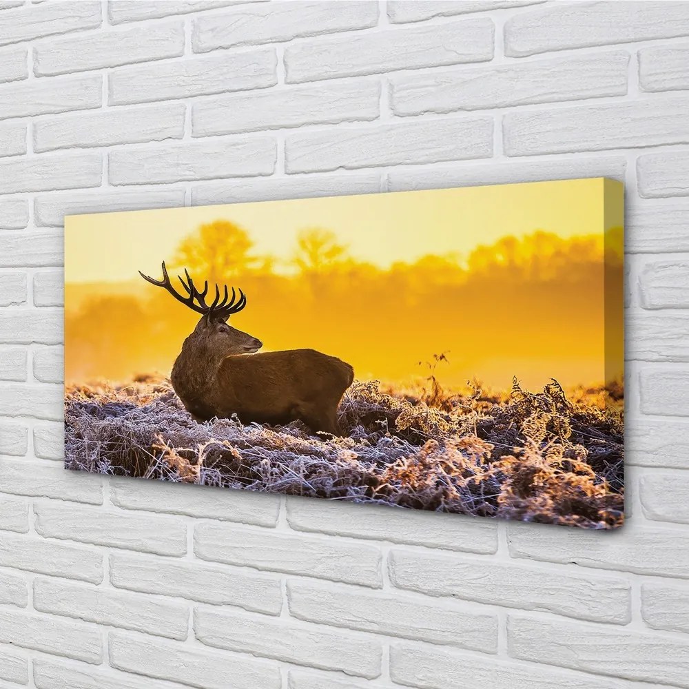 Obraz na plátne Jeleň zimné slnko 140x70 cm