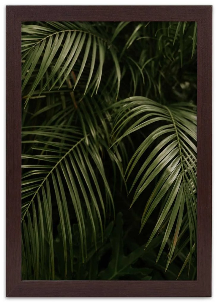 Gario Plagát Exotické palmové listy Farba rámu: Bez rámu, Rozmery: 30 x 45 cm