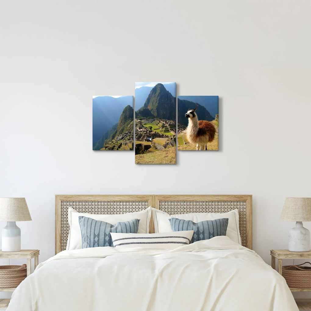 Obrázok - Lama a Machu Picchu (90x60 cm)