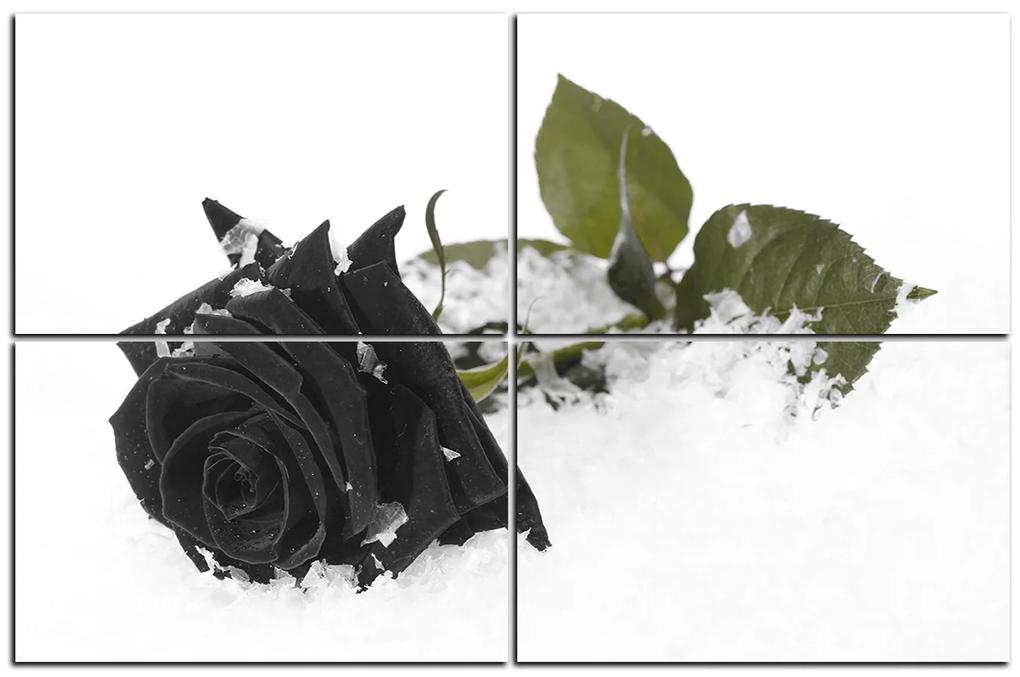 Obraz na plátne - Ruža na snehu 1103QE (120x80 cm)