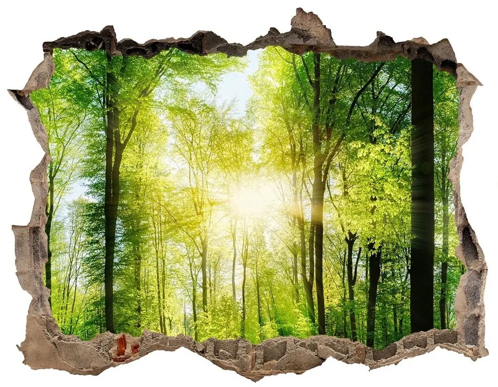 Nálepka fototapeta 3D výhled Forest na slnku nd-k-82972458