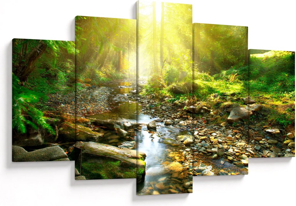 Obraz rieky v zelenom lese (150x105 cm)