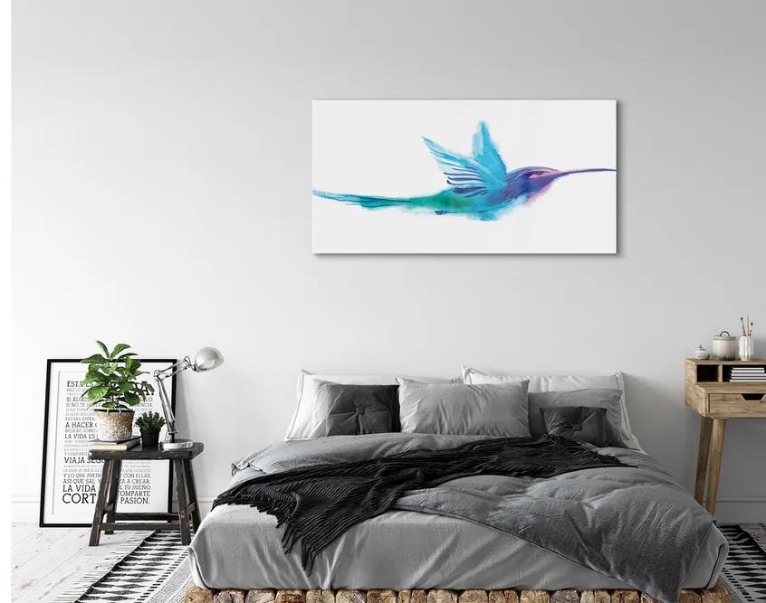 Obraz na akrylátovom skle Maľované papagáj 125x50 cm