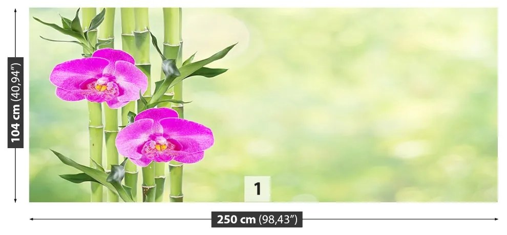 Fototapeta Vliesová Orchidea a bambus 152x104 cm
