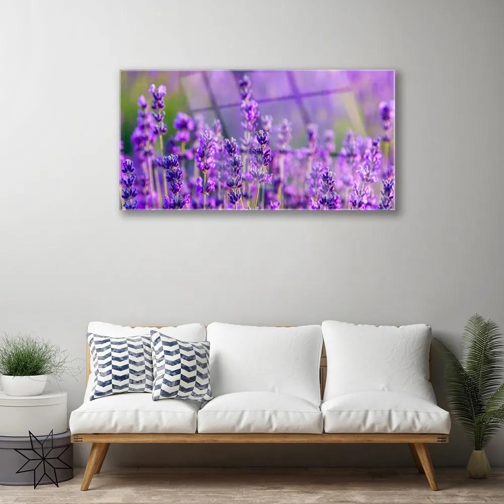 Skleneny obraz Pole fialová levanduľa 125x50 cm
