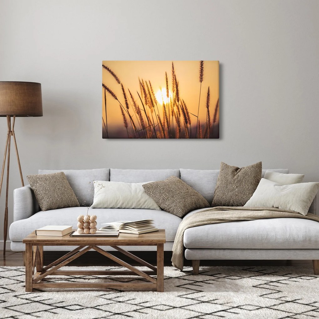 Obraz - Traviny na slnku (90x60 cm)
