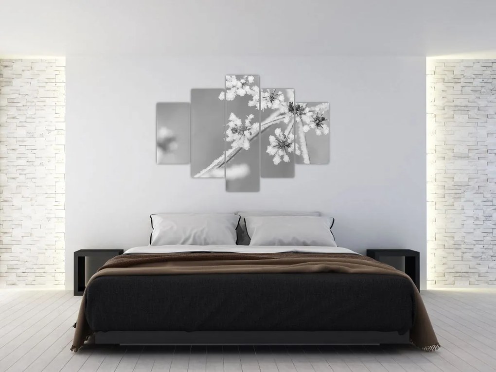Obraz - Zamrznutá rastlina (150x105 cm)
