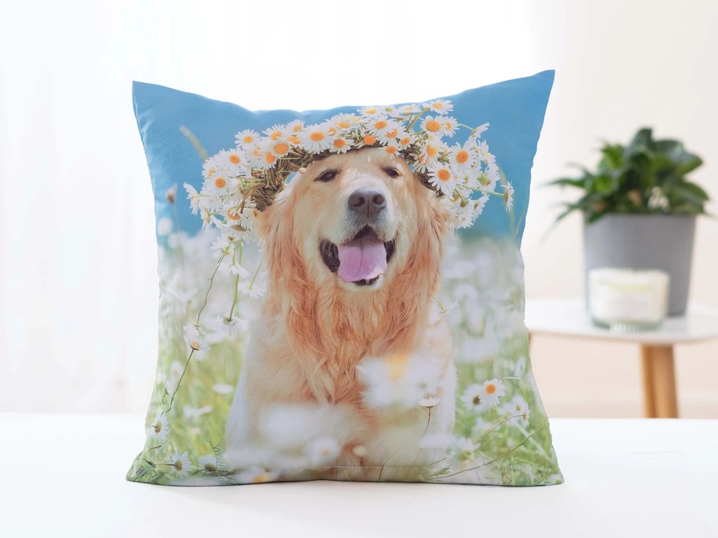 Obliečka na vankúš 40 × 40 cm - Zlatý Retríver Amálka