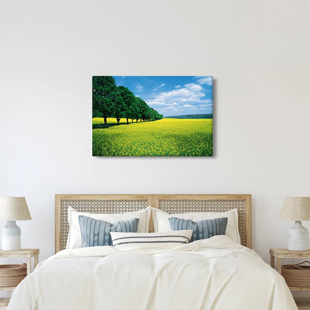 Obraz poľa s alejou (90x60 cm)