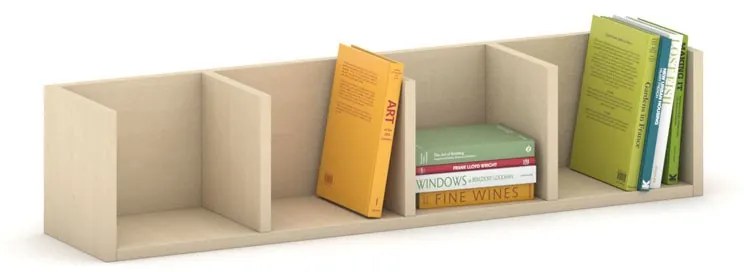 Nástenná polica PRIMO so 4 oddielmi, 1000 x 310 x 250 mm, breza