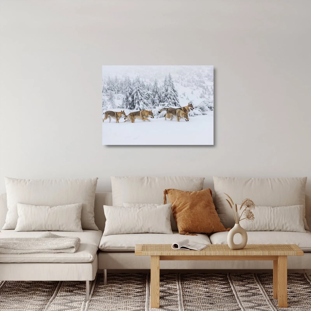 Sklenený obraz - Vlci v horách (70x50 cm)