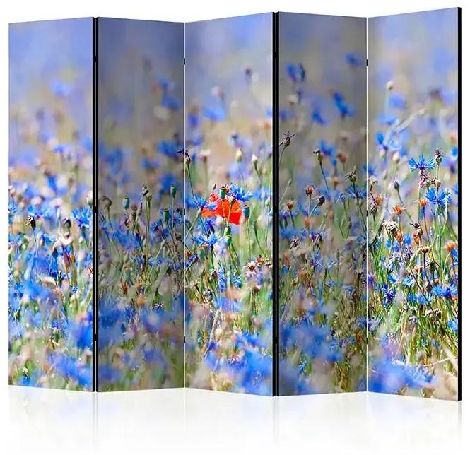 Paraván - A sky-colored meadow - cornflowers II [Room Dividers] Veľkosť: 225x172, Verzia: Akustický