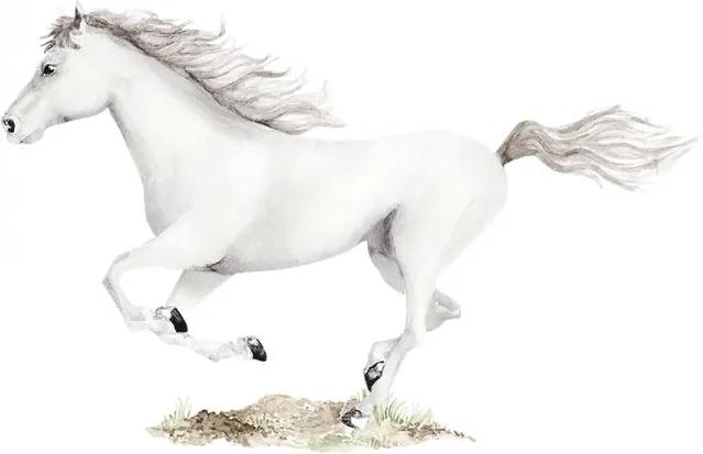 lovel.sk Nálepka na stenu Animals - biely kôň DK376