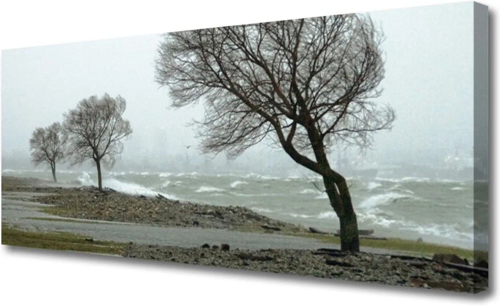 Obraz Canvas Skleněný moře bouře vlny