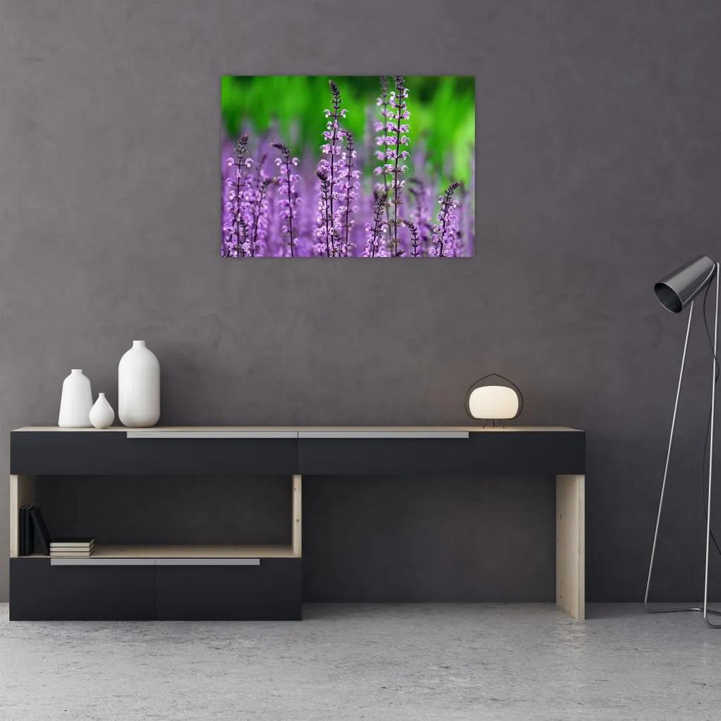 Sklenený obraz fialových lúčnych kvetov (70x50 cm)