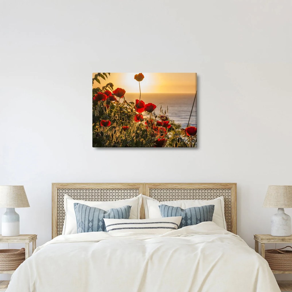 Obraz západu slnka s vlčími makmi (70x50 cm)