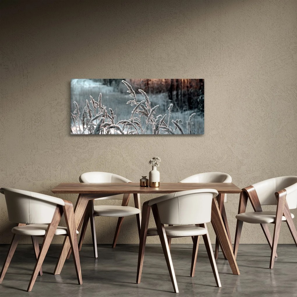 Obraz - Zamrznutá lúka (120x50 cm)