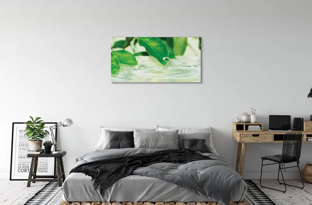 Obraz canvas Kvapky vody lístia 125x50 cm