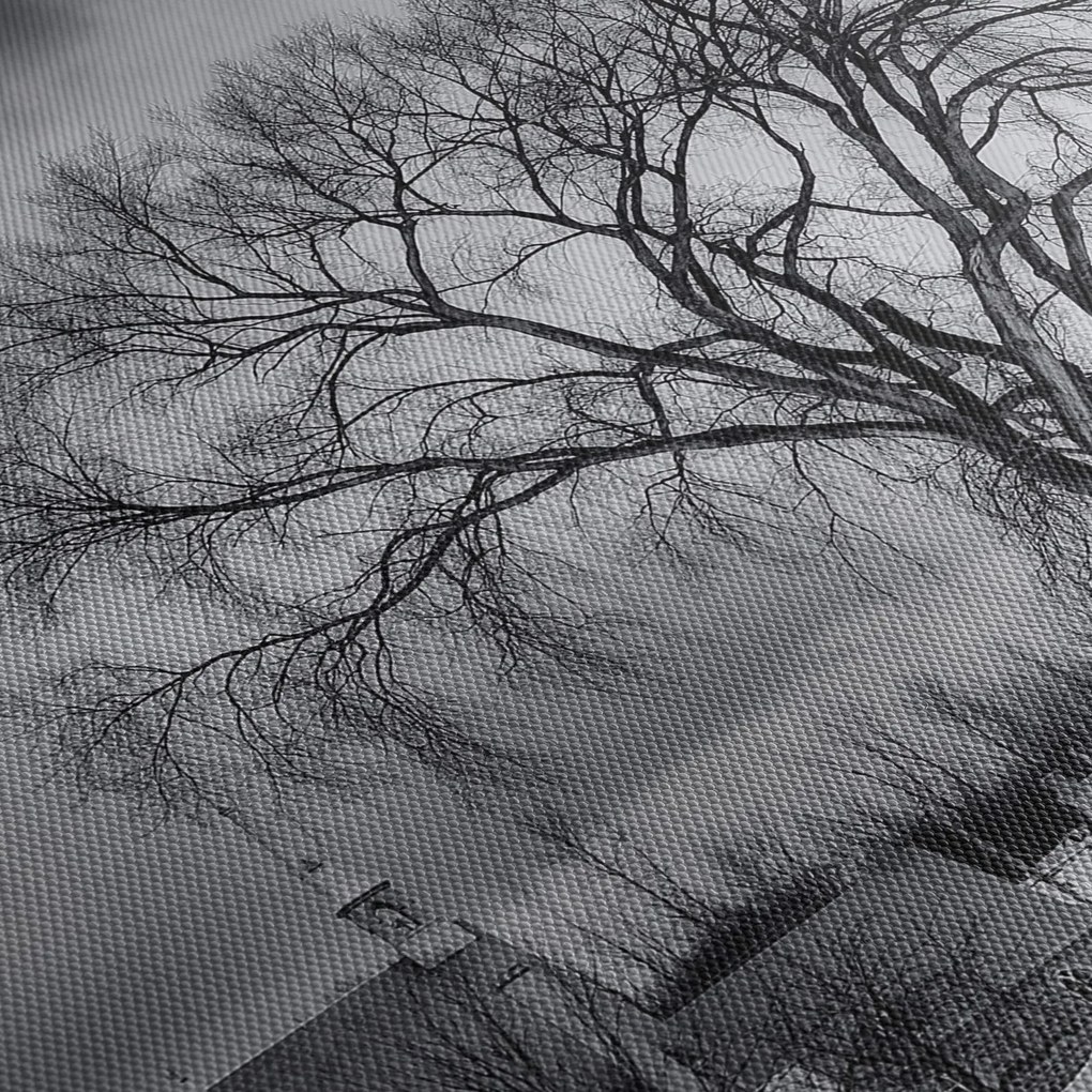 Obraz čiernobielej dediny (120x50 cm)