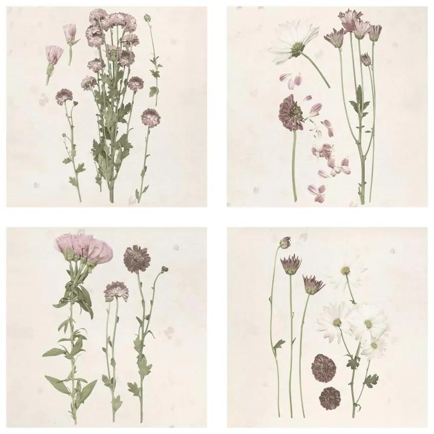 Manufakturer -  Štvordielny obraz Herbarium v ružovej sade I