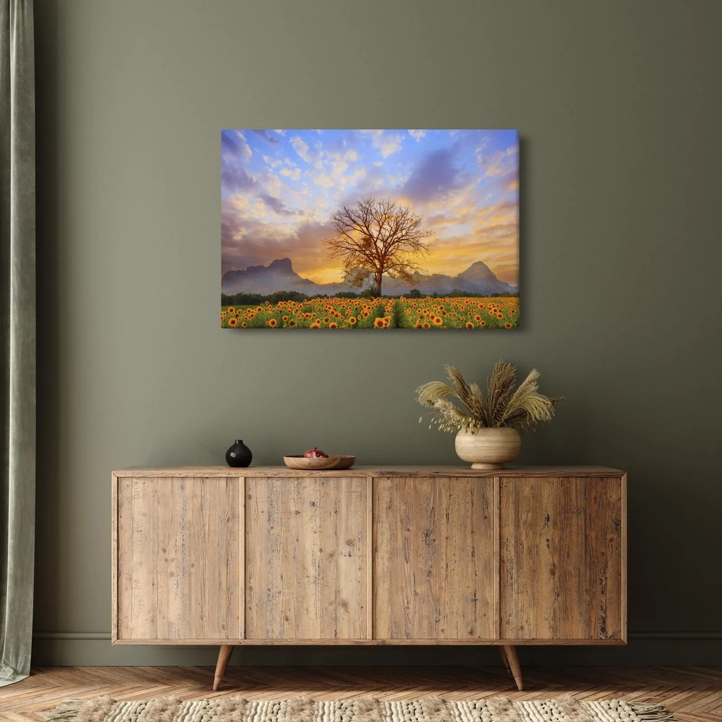 Obraz - Krajina so slnečnicami (90x60 cm)