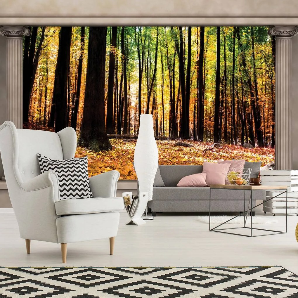 Fototapeta - Jesenný les (152,5x104 cm)