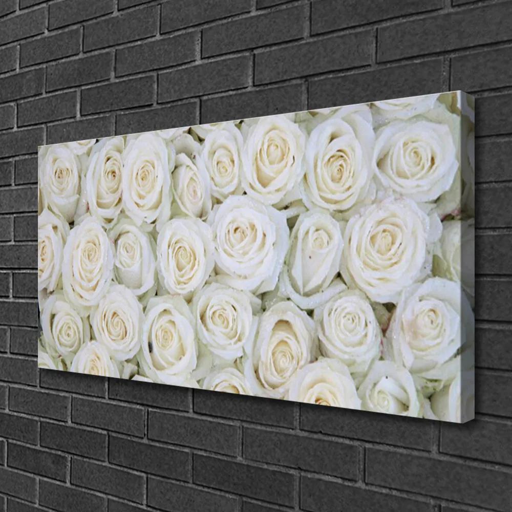 Obraz na plátne Ruže kvety rastlina 120x60 cm
