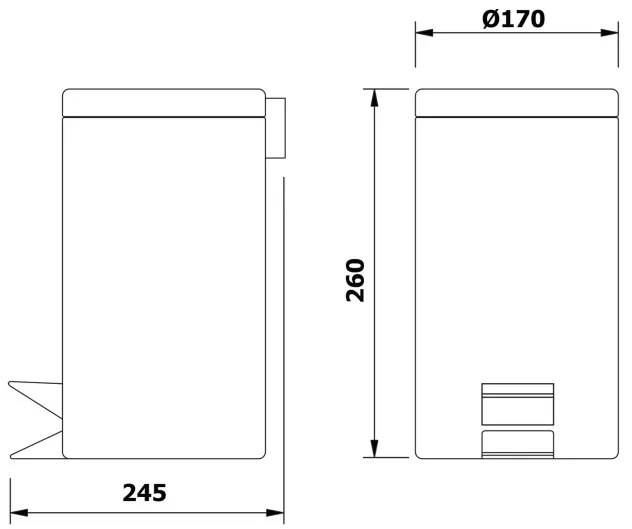 Erga Basic, odpadkový kôš guľatý 3l, chrómová, ERG-02479