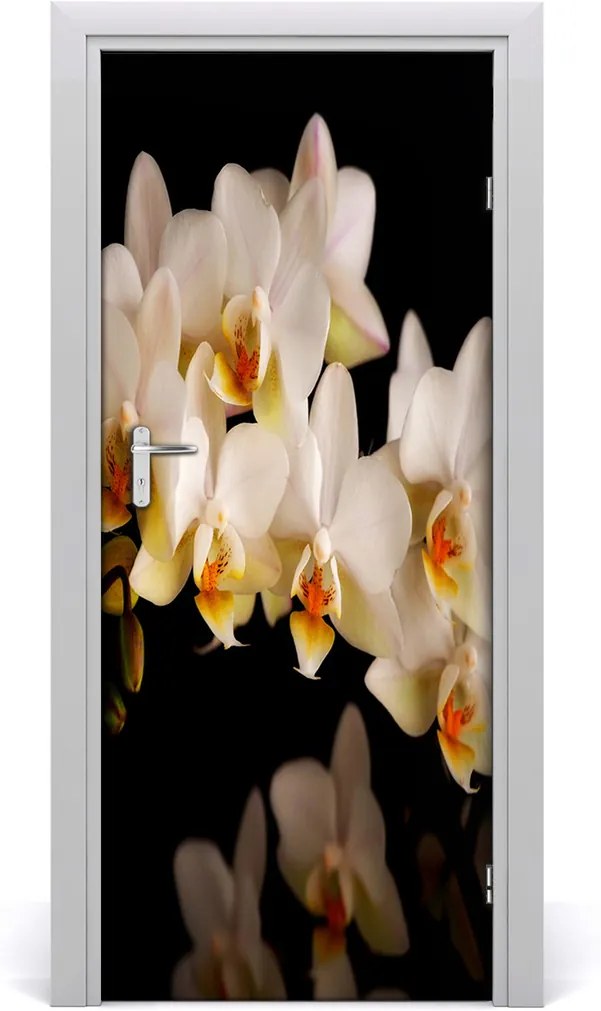 Fototapeta samolepiace  orchidea