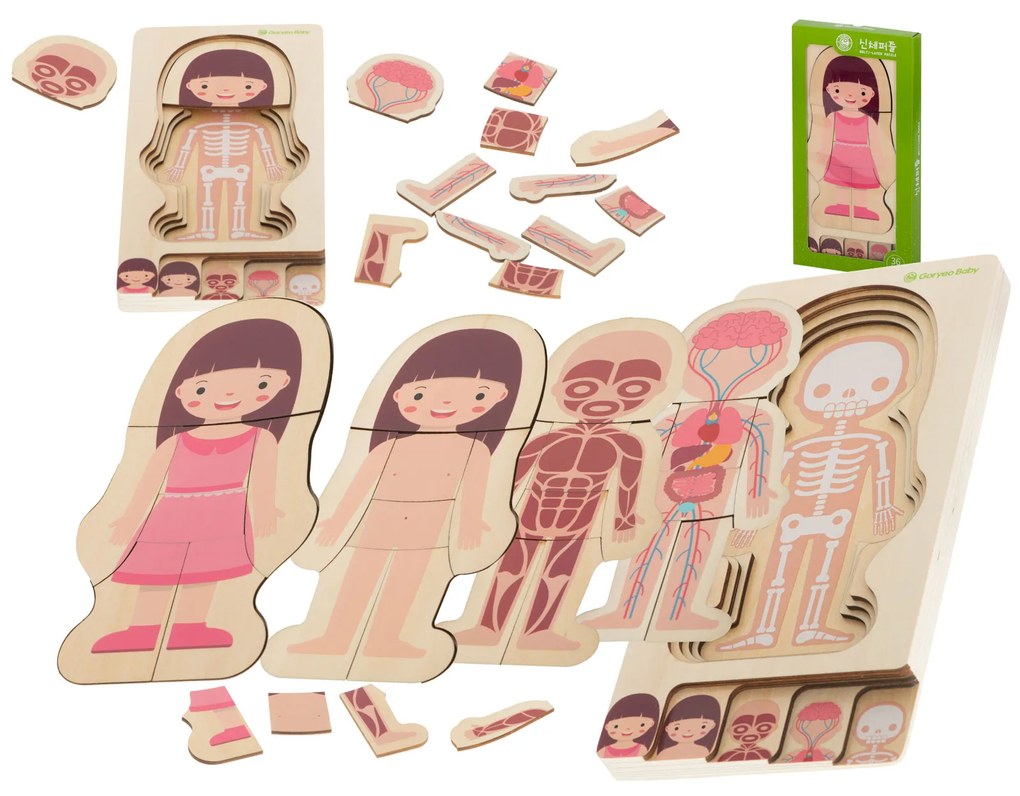 Drevené puzzle - ľudské telo | dievčatko