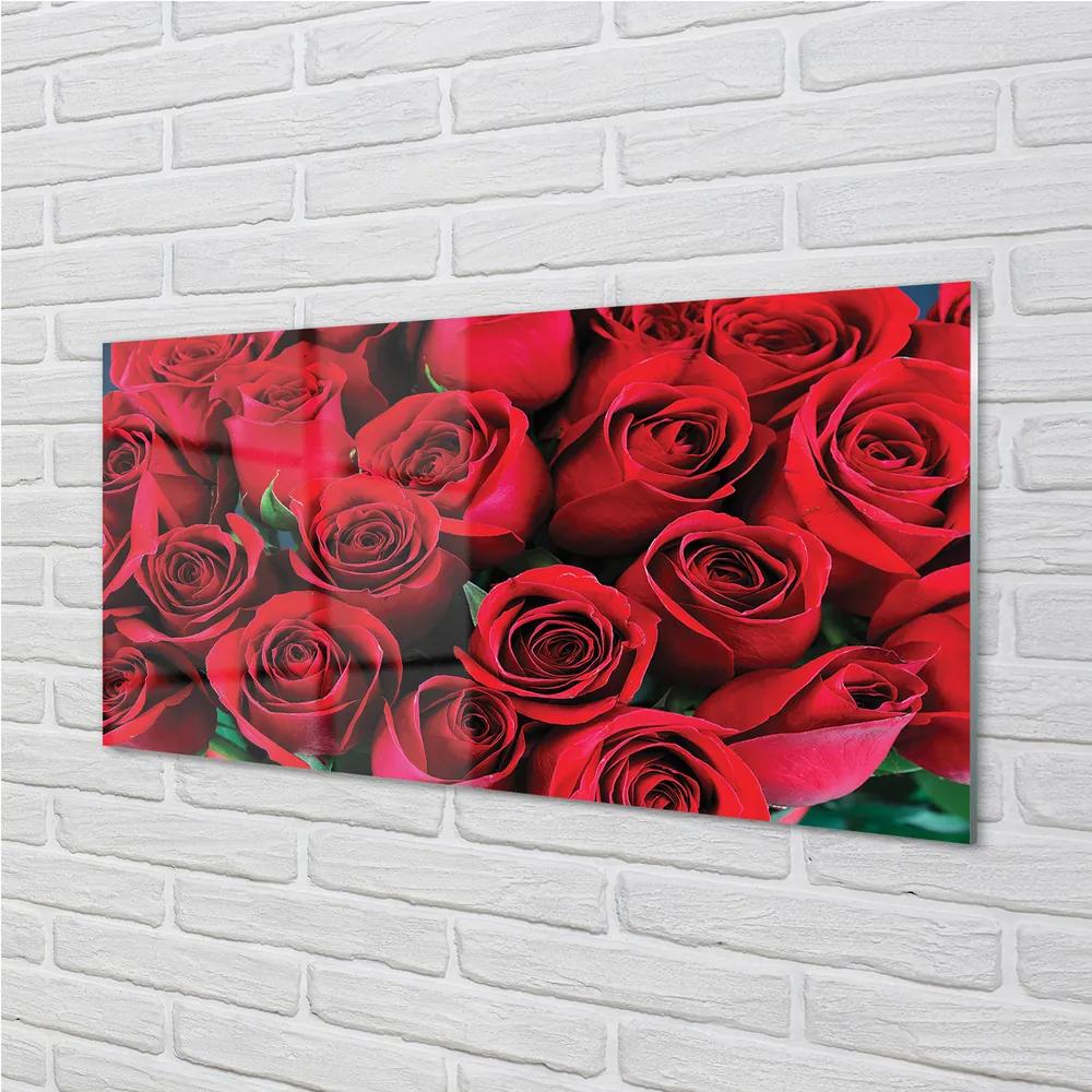 Obraz plexi Ruže 140x70 cm