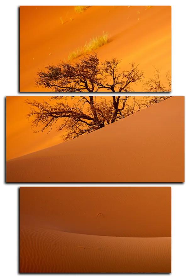 Obraz na plátne - Červené piesočné duny - obdĺžnik 7133C (90x60 cm)