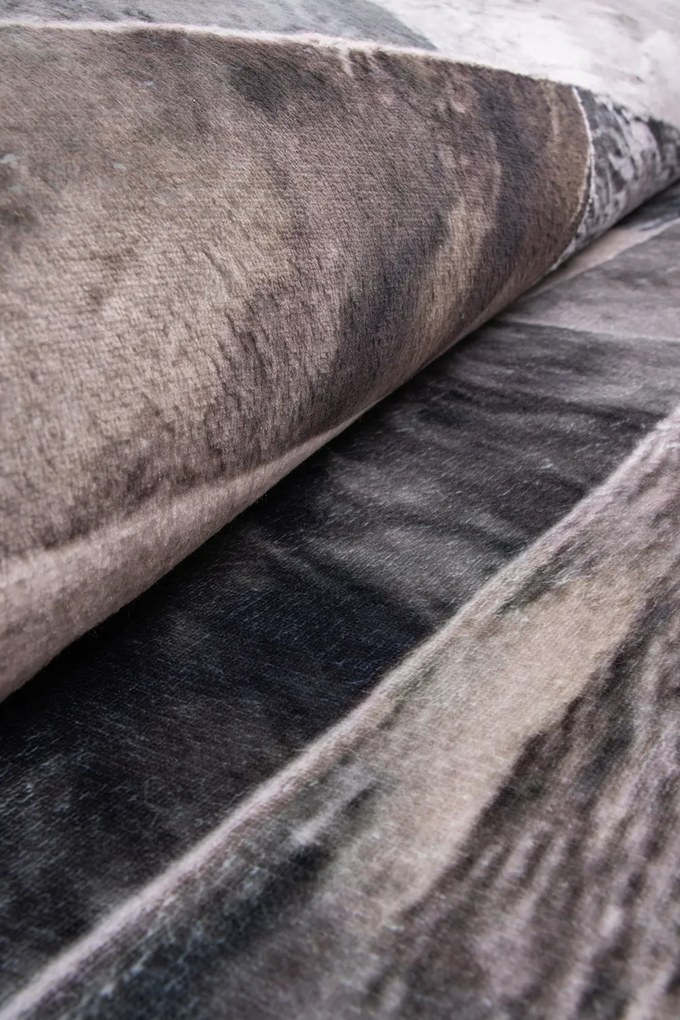 Koberec Canes KLXD220302 rozmery koberec: 160x230 cm