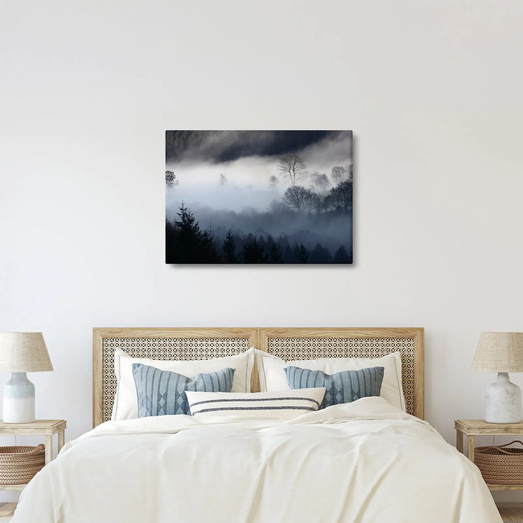 Obraz hmly nad lesom (70x50 cm)