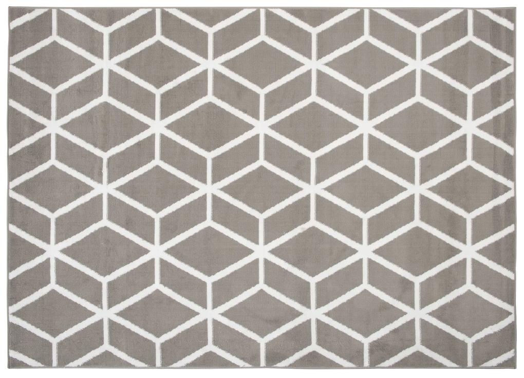 PROXIMA.store - Dizajnový koberec FELIX ROZMERY: 180x250