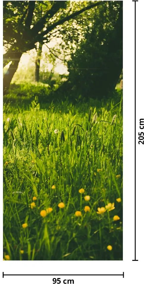 Fototapeta na dvere - Lúka (95x205cm)