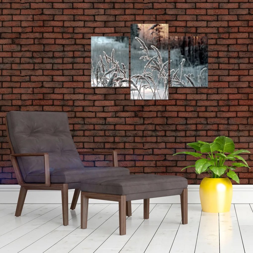 Obraz - Zamrznutá lúka (90x60 cm)