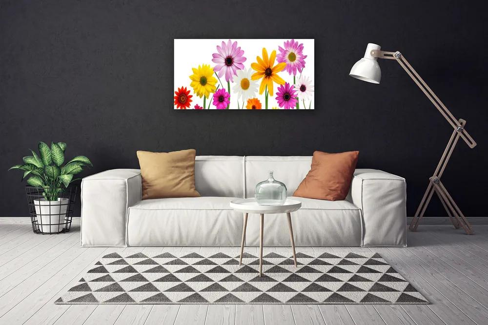 Obraz Canvas Farebné kvety príroda 120x60 cm