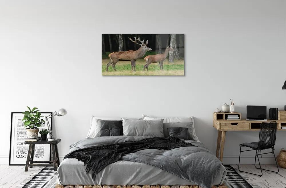 Sklenený obraz jeleň lesný 140x70 cm